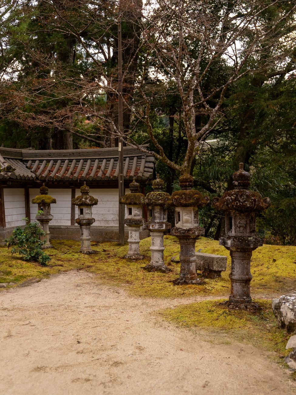 Early morning raked gravel and moss at a Zen monastery in Kyoto